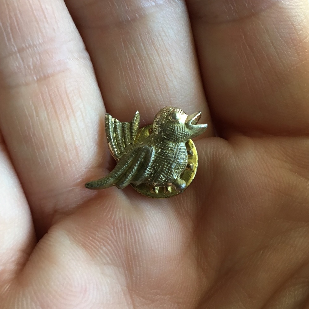 🎶Singing Bird 🐦Pin
